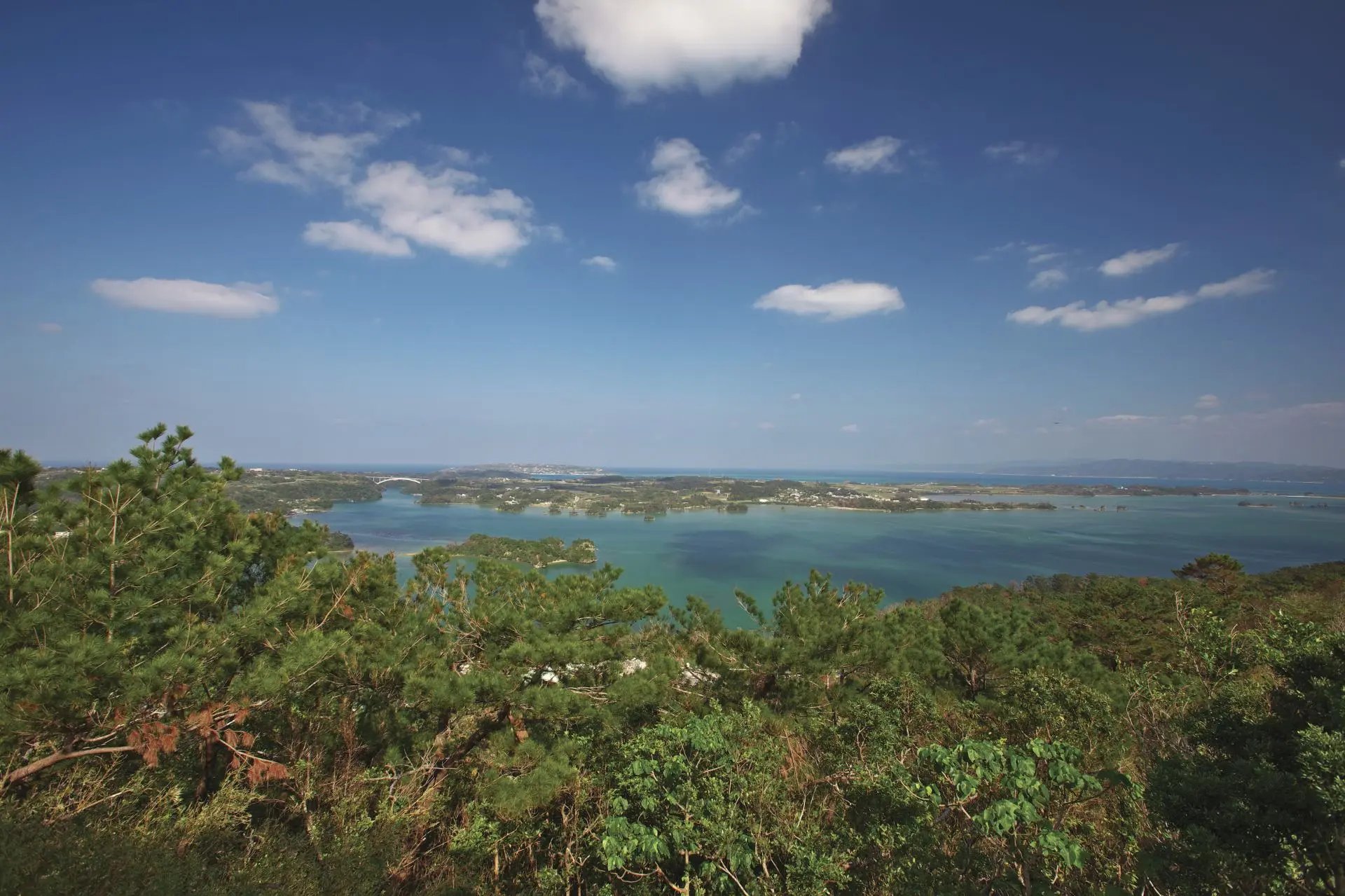 🏞️ 나고 아라시야마 전망대(나고 아라시야마 텐보우다이) 이미지 3